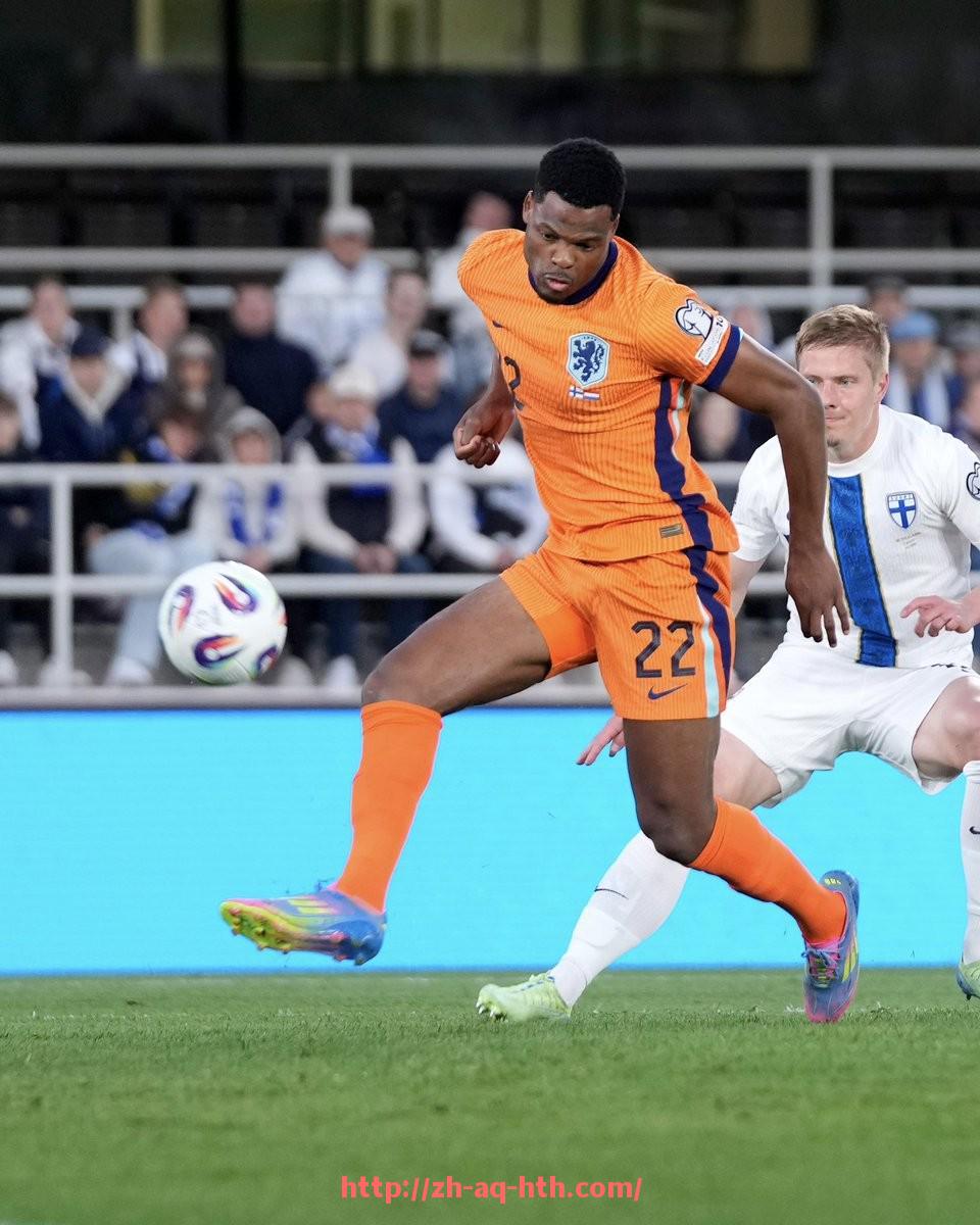 华体会hth登录入口-德甲最小主场球队的特色与其主场优势解析